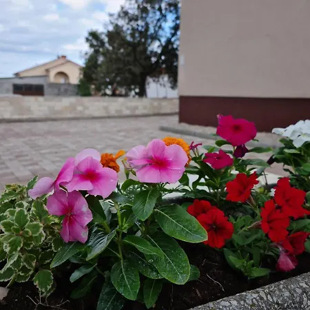 Apartments Pakostane * Pakoštane